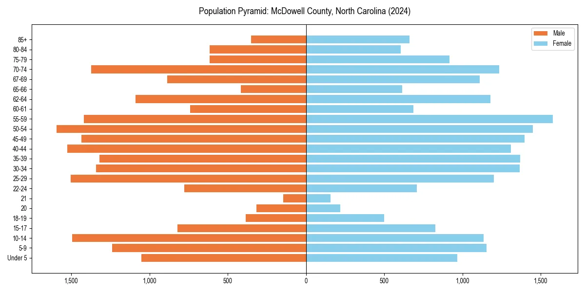 Population pyramid for 