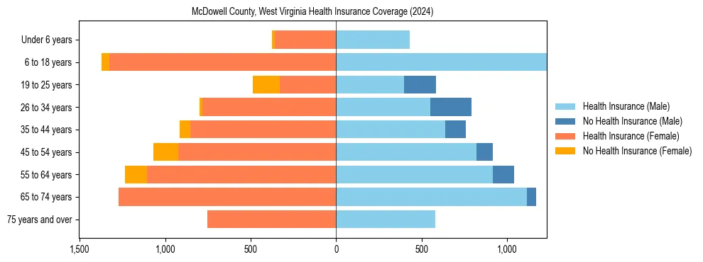 Health insurance pyramid for McDowell County, West Virginia