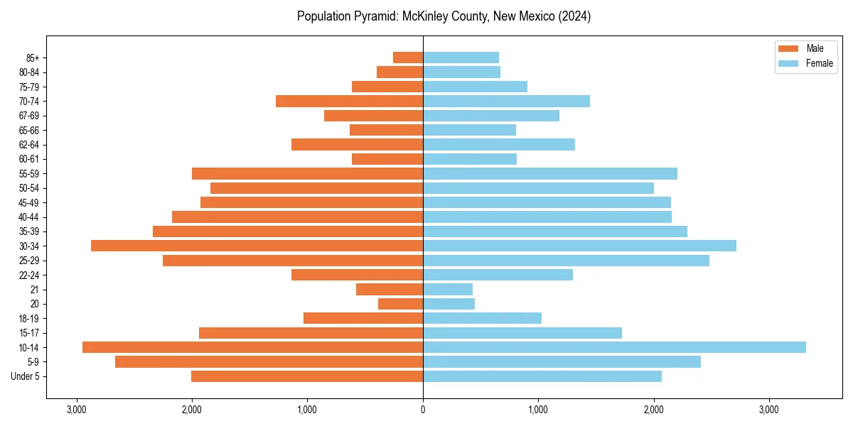 Population pyramid for 
