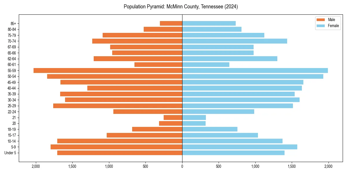 Population pyramid for 