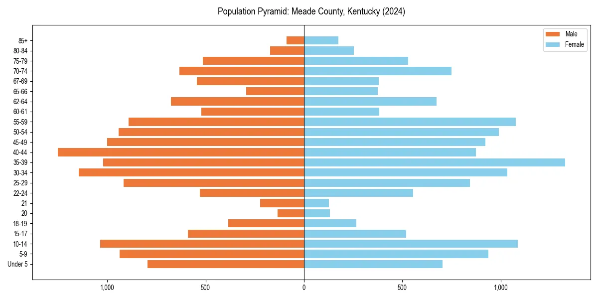 Population pyramid for 