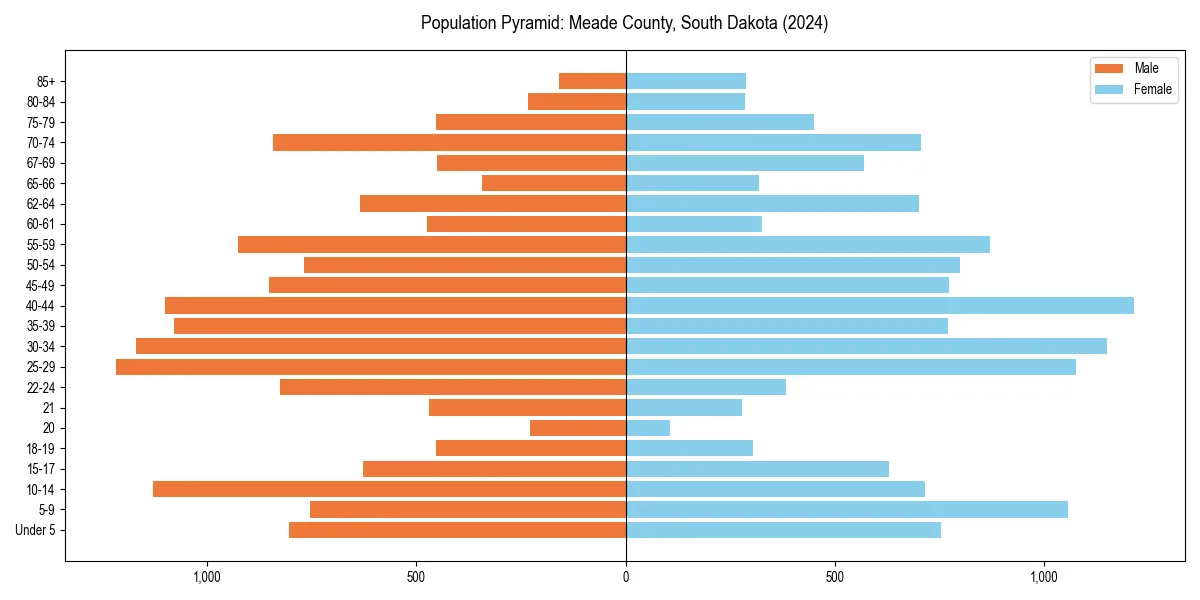 Population pyramid for 