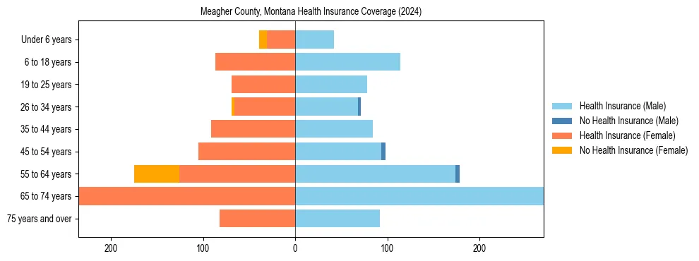 Health insurance pyramid for Meagher County, Montana