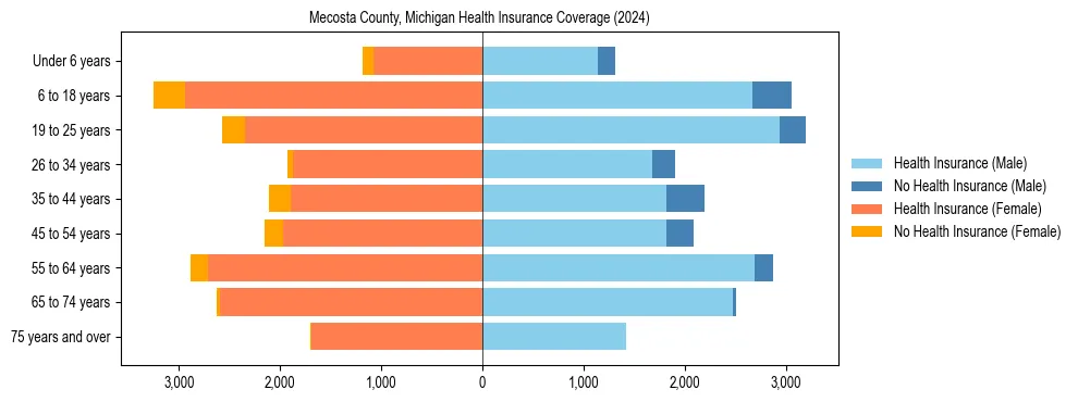 Health insurance pyramid for Mecosta County, Michigan