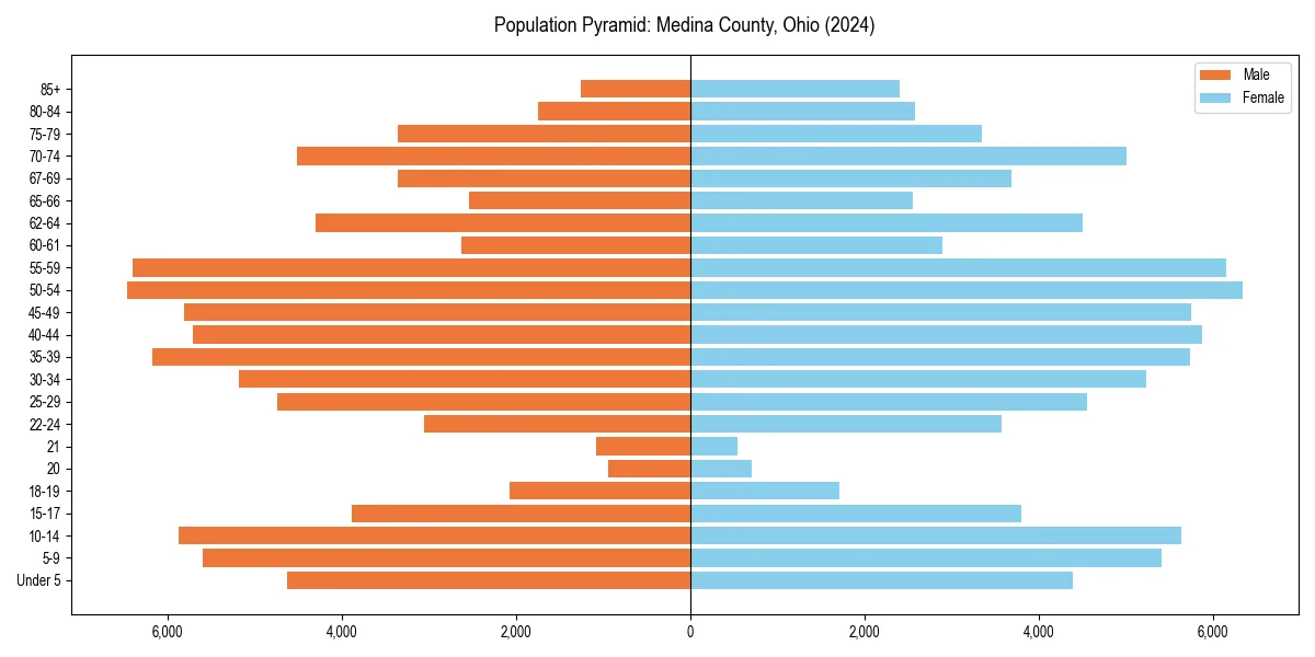 Population pyramid for 