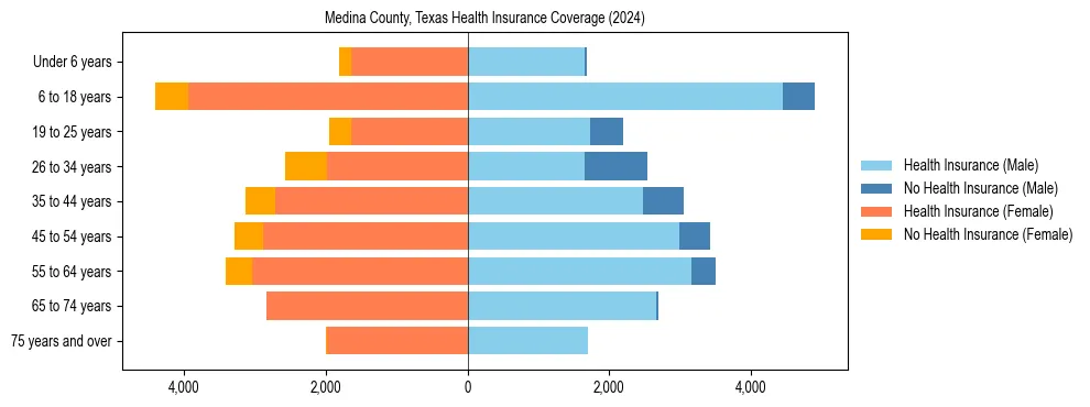 Health insurance pyramid for Medina County, Texas