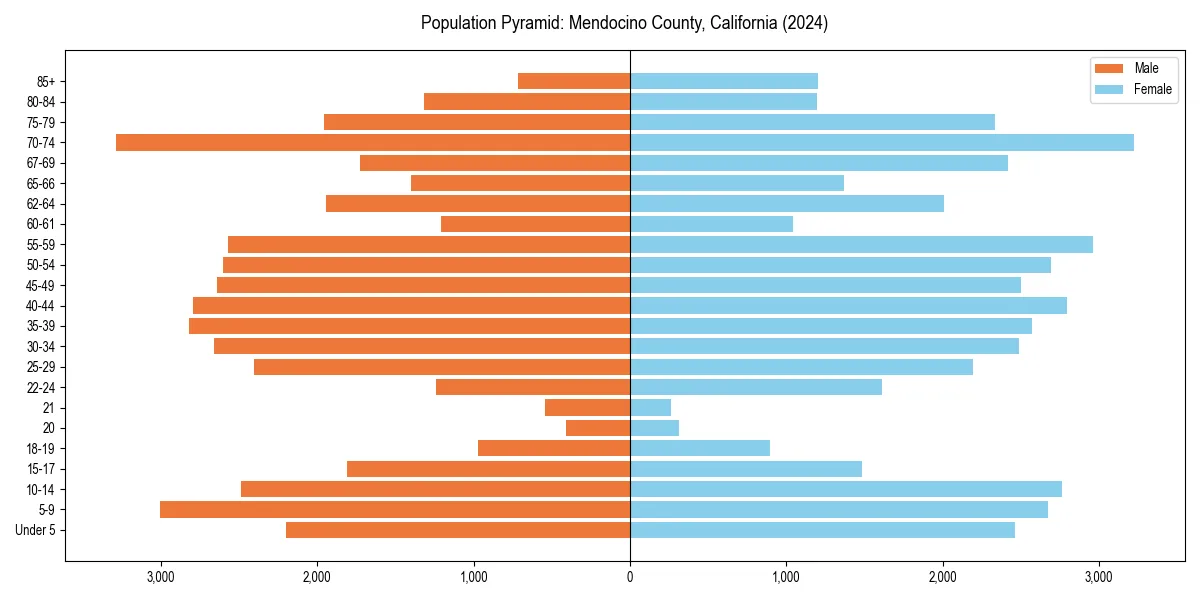 Population pyramid for 