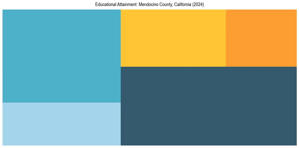 Education Treemap for  in 2024