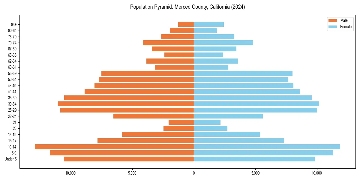Population pyramid for 
