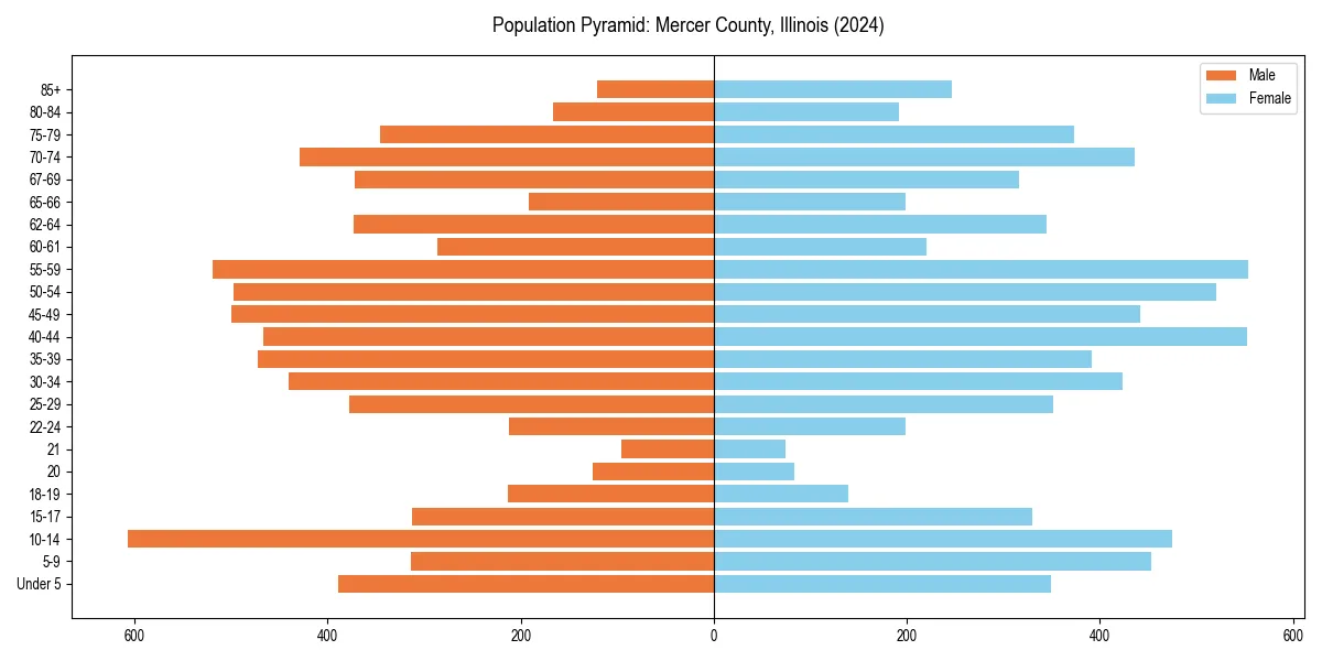 Population pyramid for 