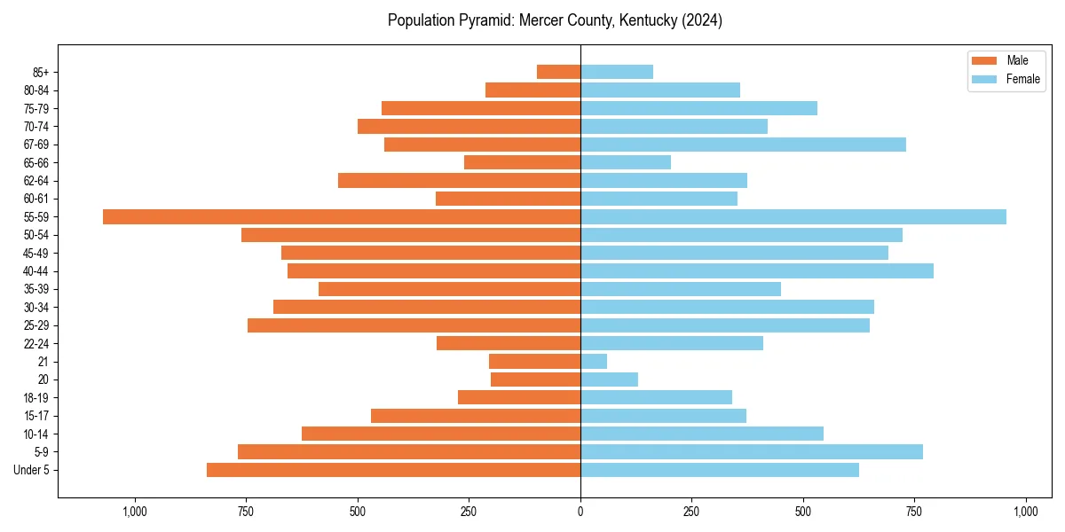 Population pyramid for 