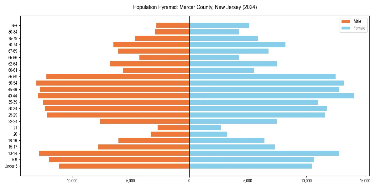 Population pyramid for 