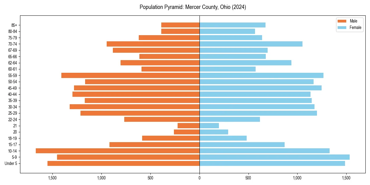Population pyramid for