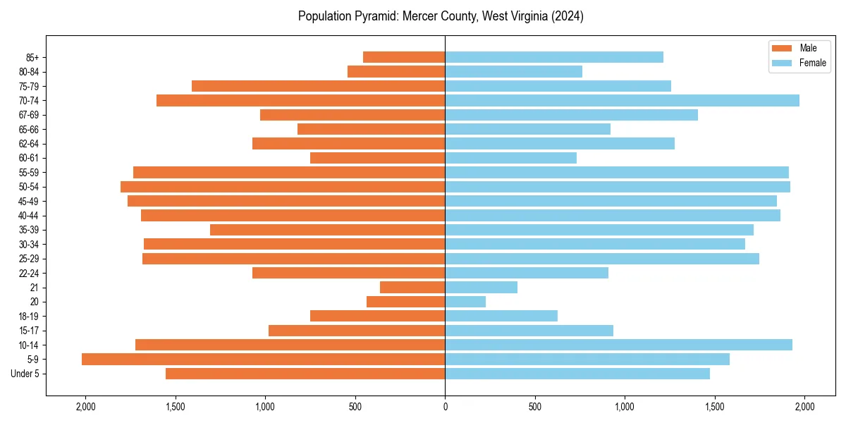 Population pyramid for 