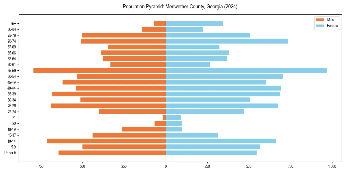 Population pyramid for 