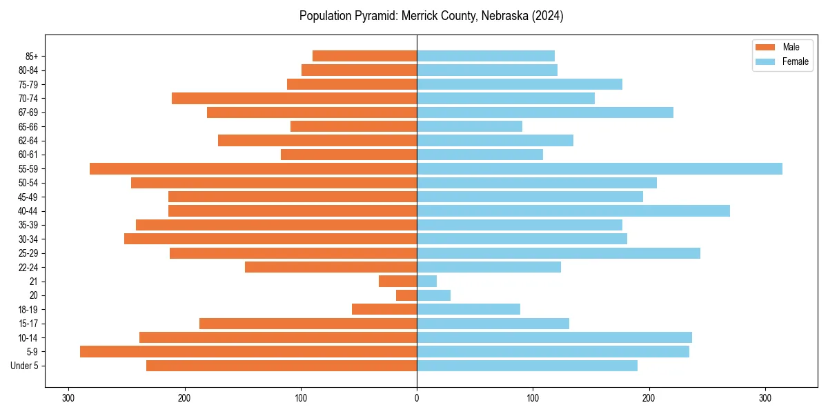 Population pyramid for 