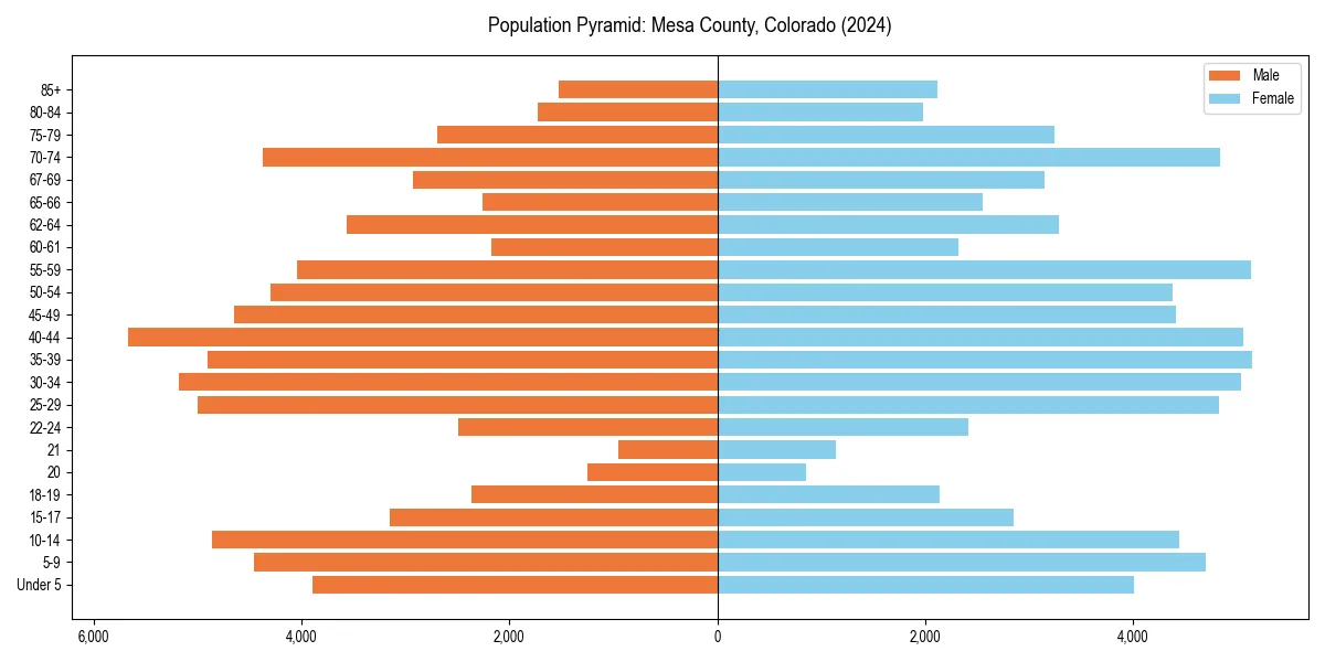 Population pyramid for 