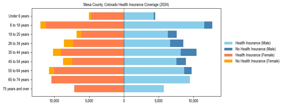 Health insurance pyramid for Mesa County, Colorado