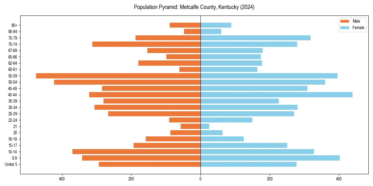 Population pyramid for 