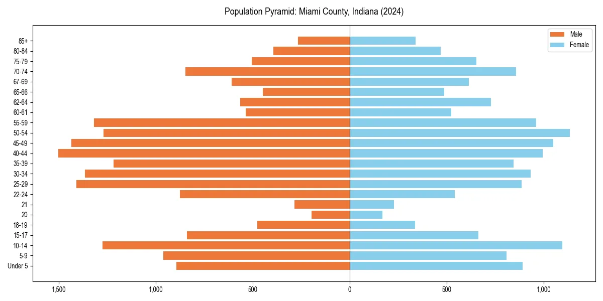 Population pyramid for 