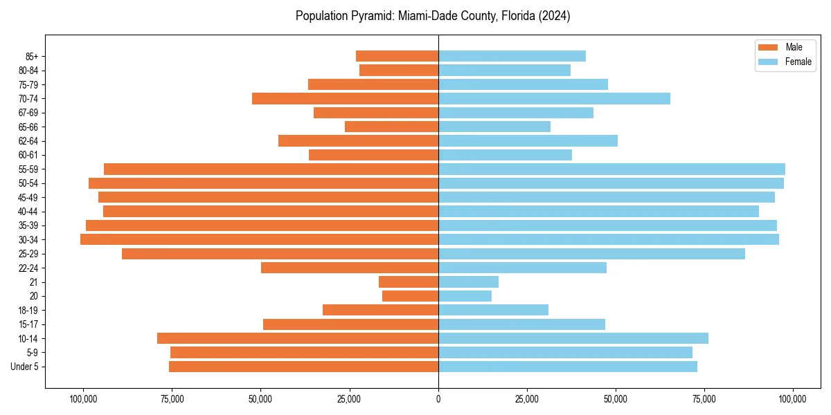 Population pyramid for 