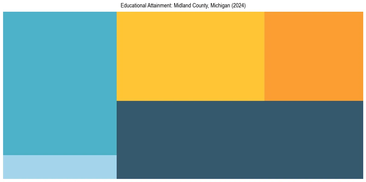 Education Treemap for  in 2024
