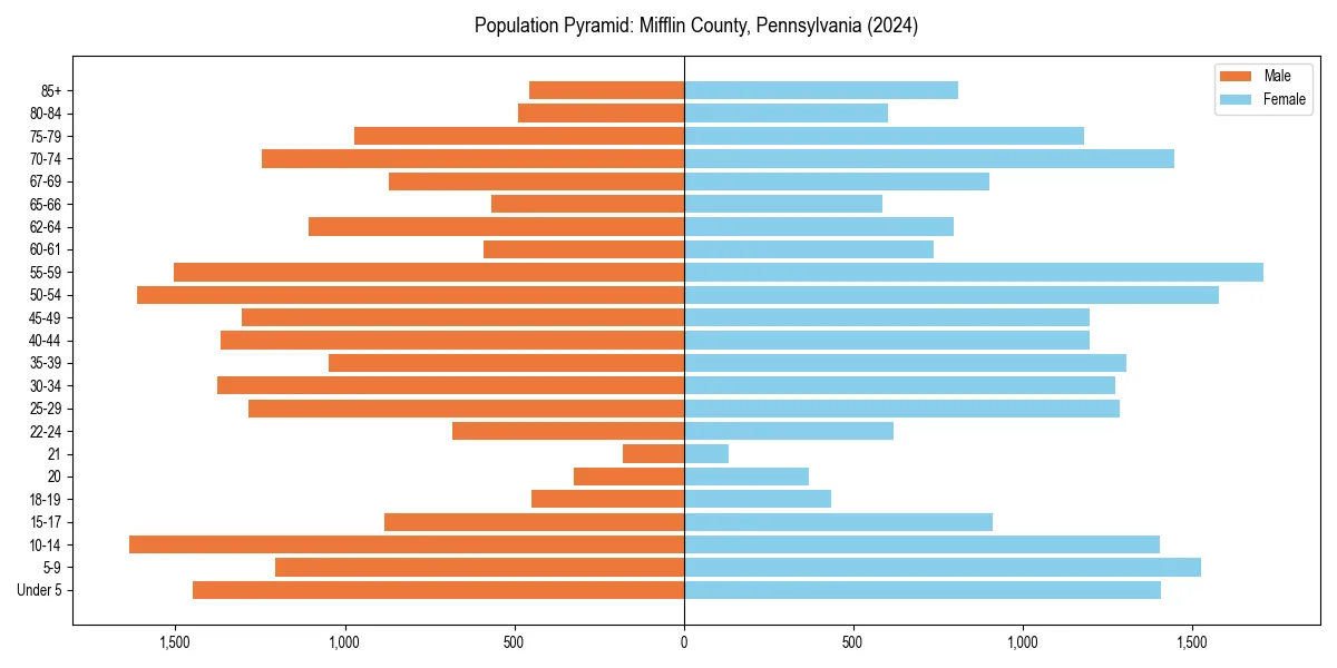 Population pyramid for 