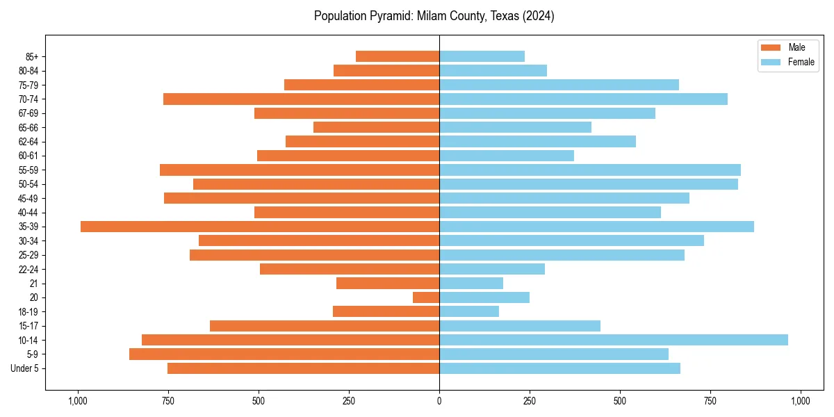 Population pyramid for 