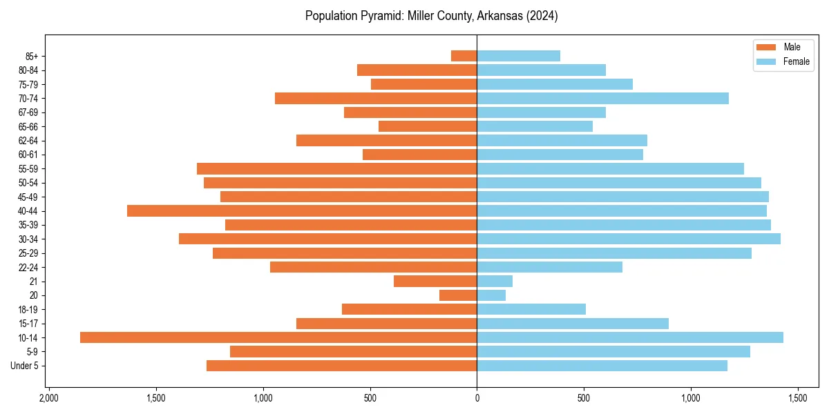 Population pyramid for 