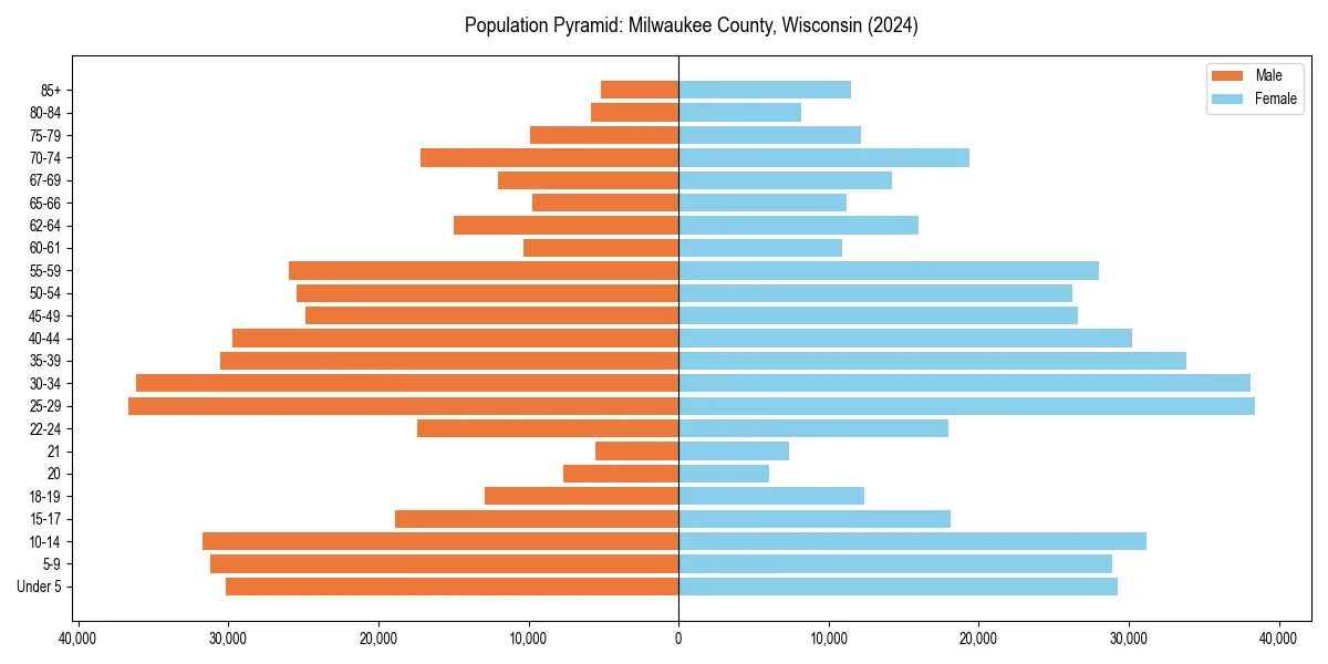 Population pyramid for 