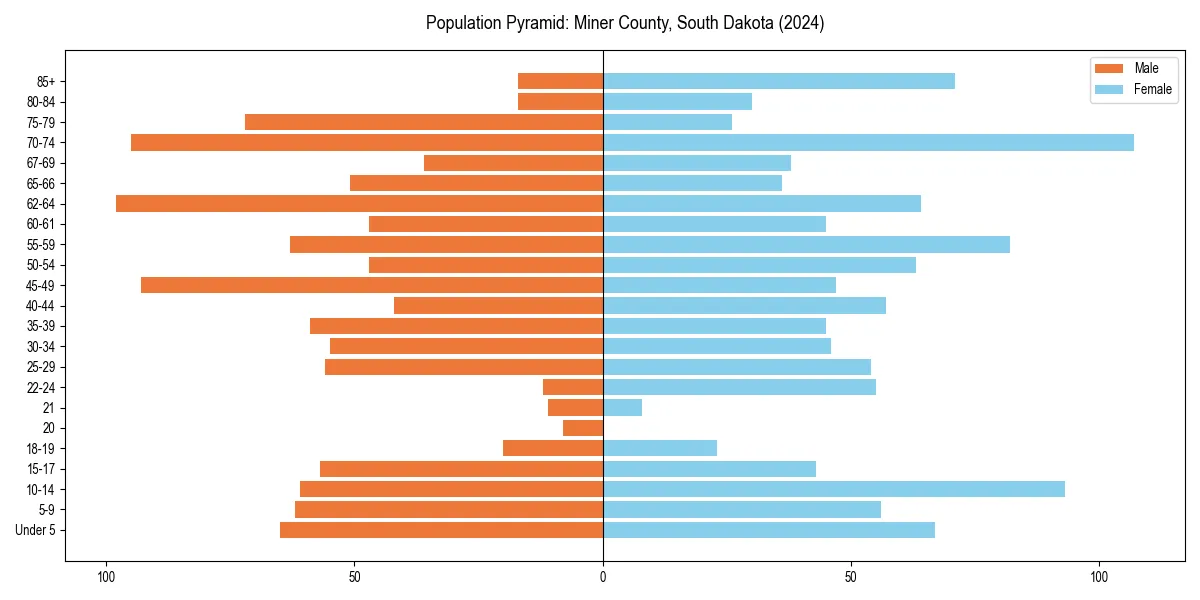 Population pyramid for 