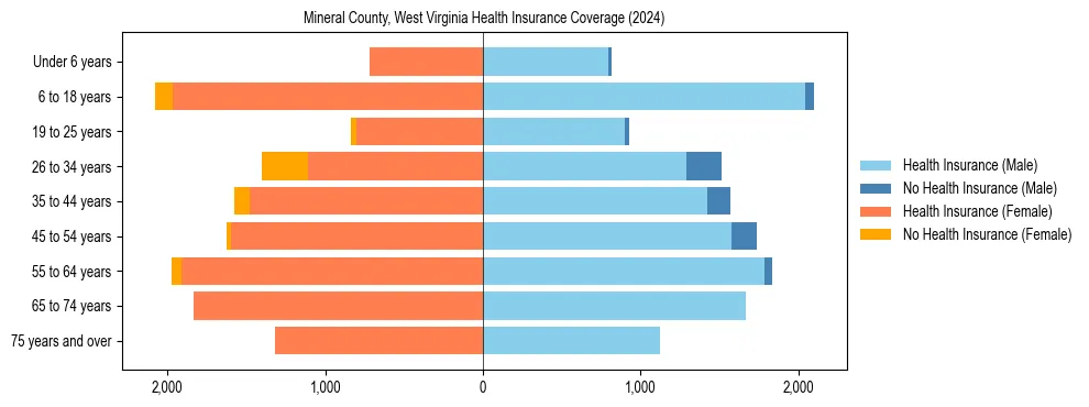 Health insurance pyramid for Mineral County, West Virginia