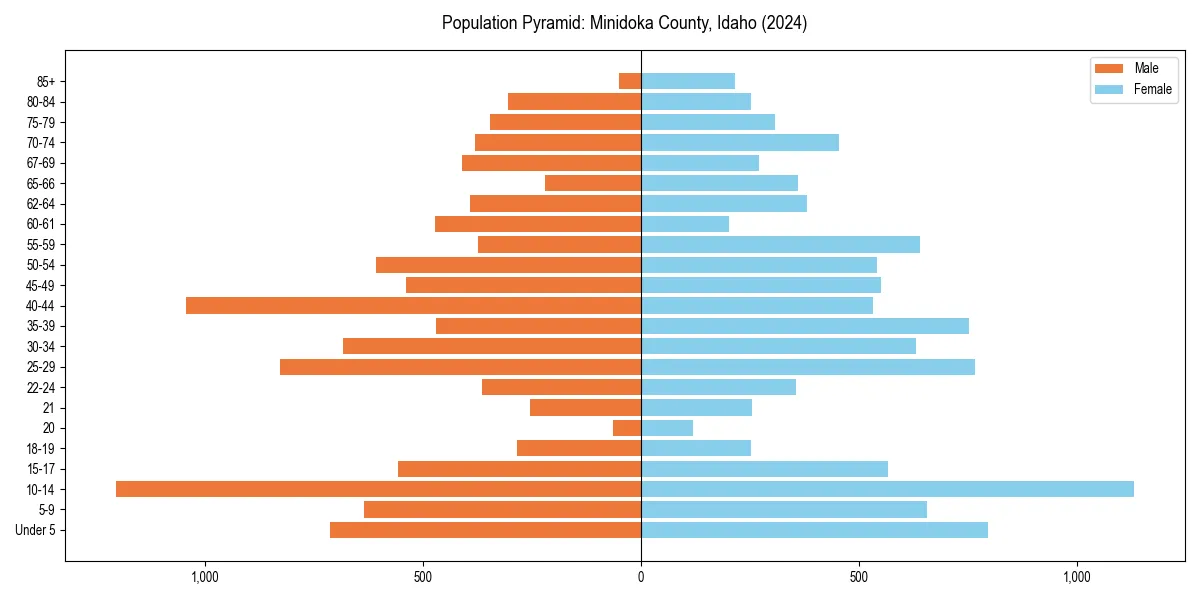Population pyramid for 