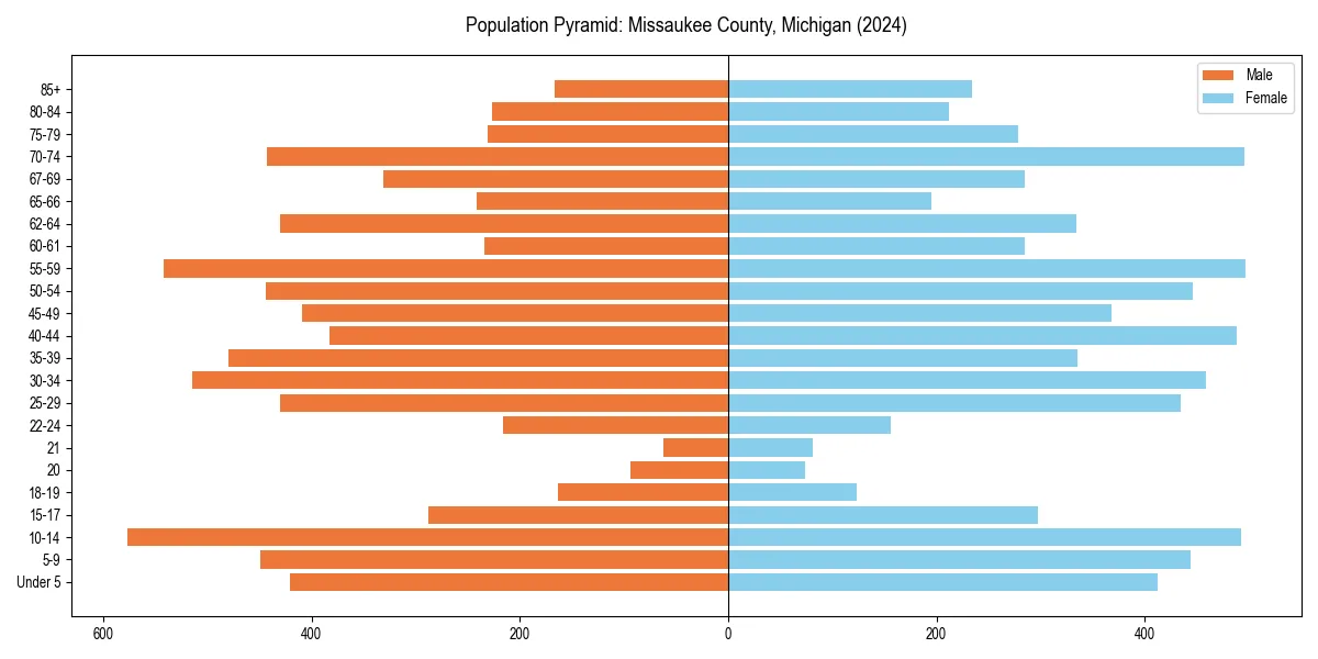 Population pyramid for 