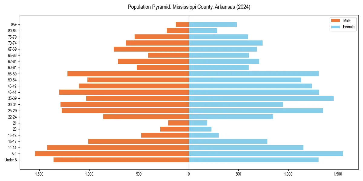 Population pyramid for 