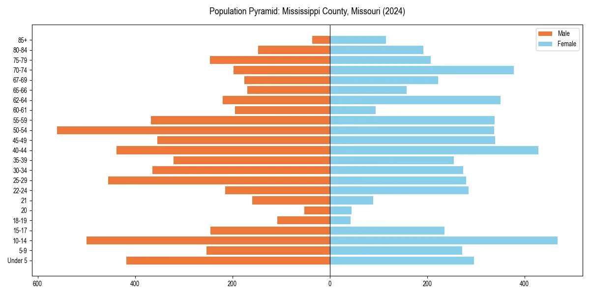 Population pyramid for 
