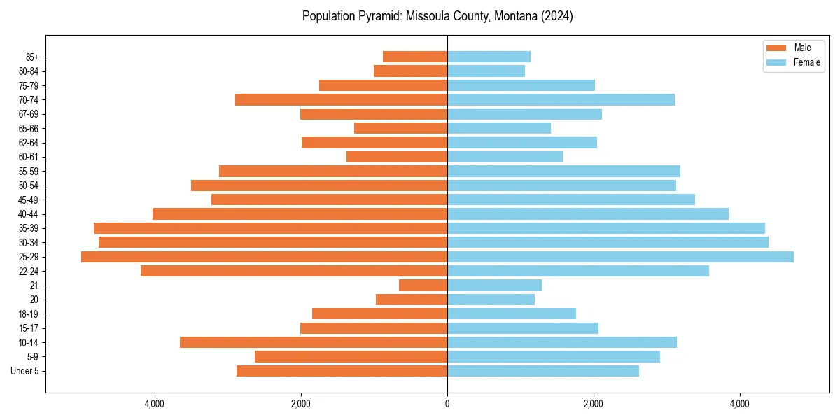 Population pyramid for 