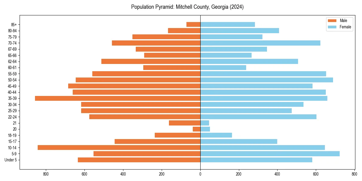 Population pyramid for 