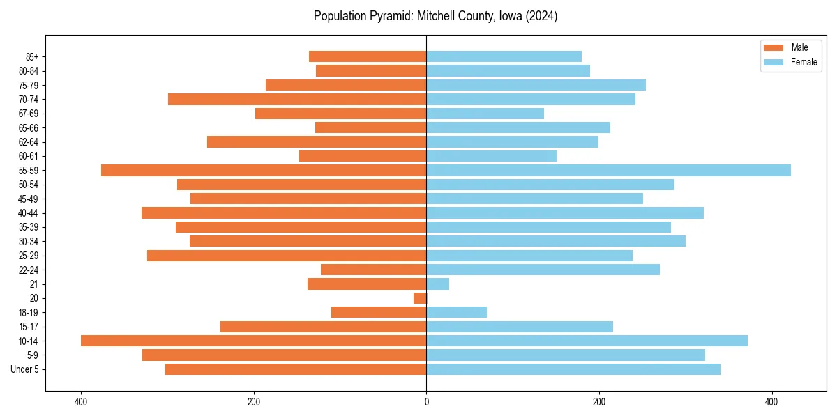 Population pyramid for 