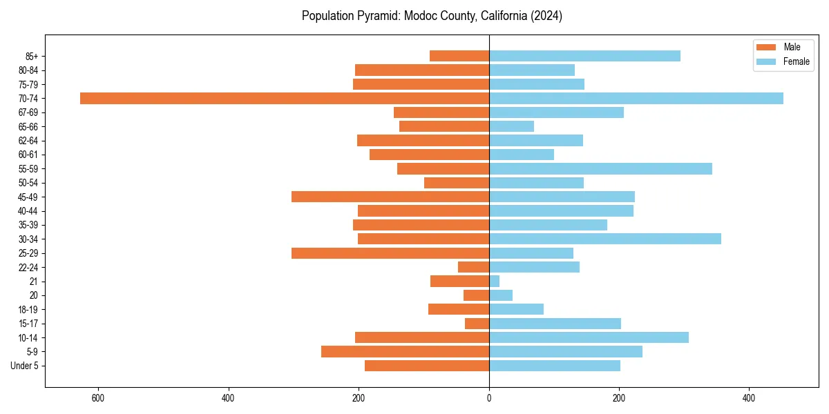 Population pyramid for 