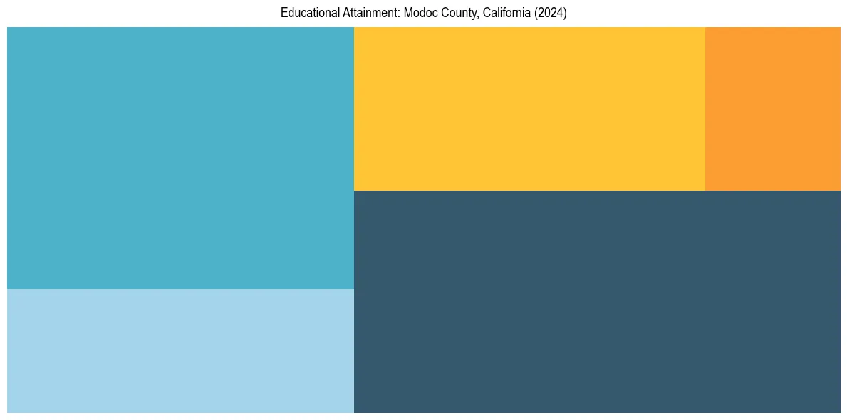 Education Treemap for  in 2024