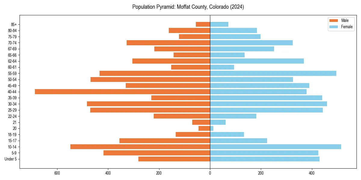Population pyramid for 
