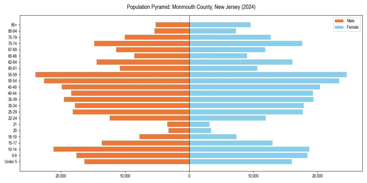 Population pyramid for 