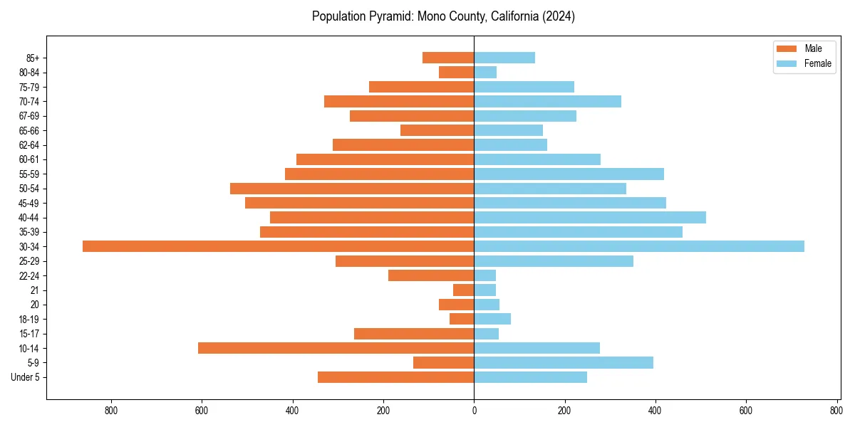 Population pyramid for 