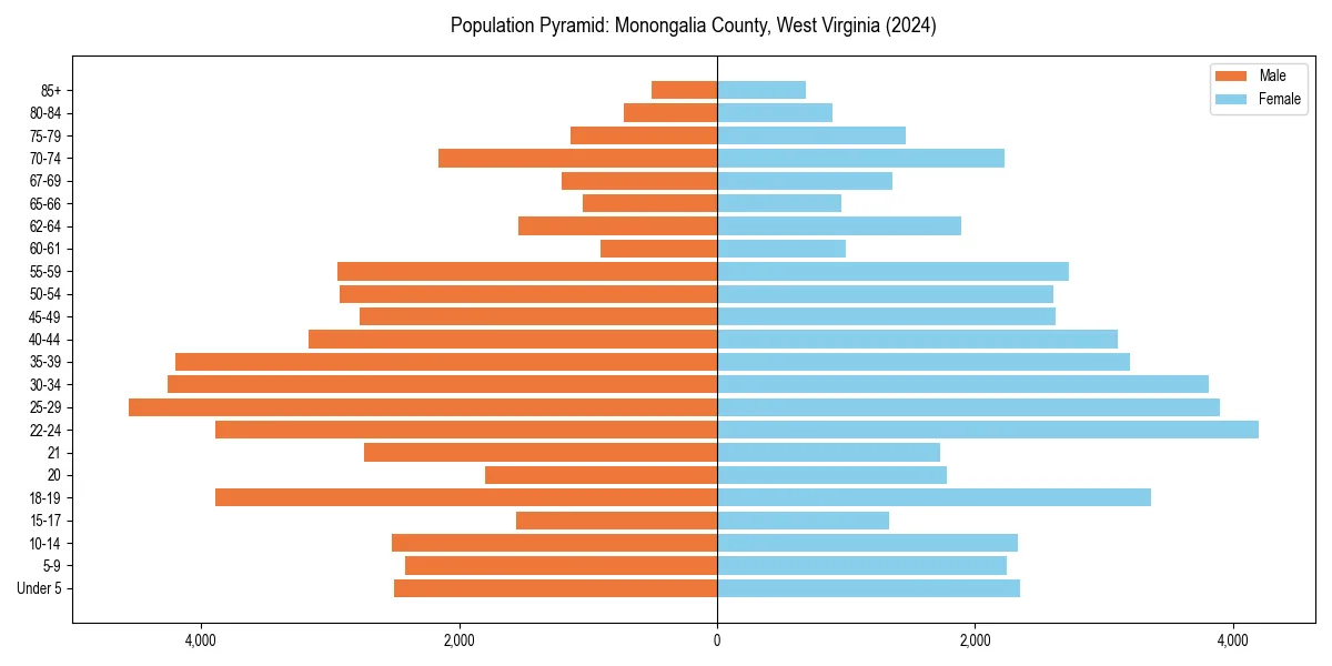 Population pyramid for 