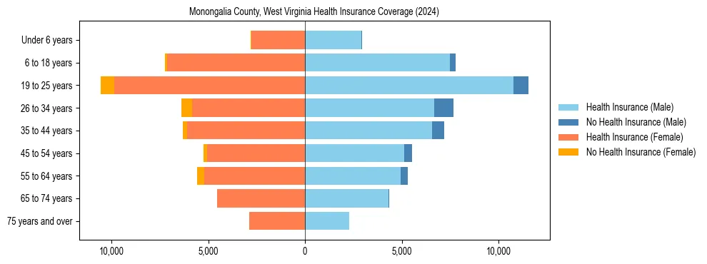 Health insurance pyramid for Monongalia County, West Virginia