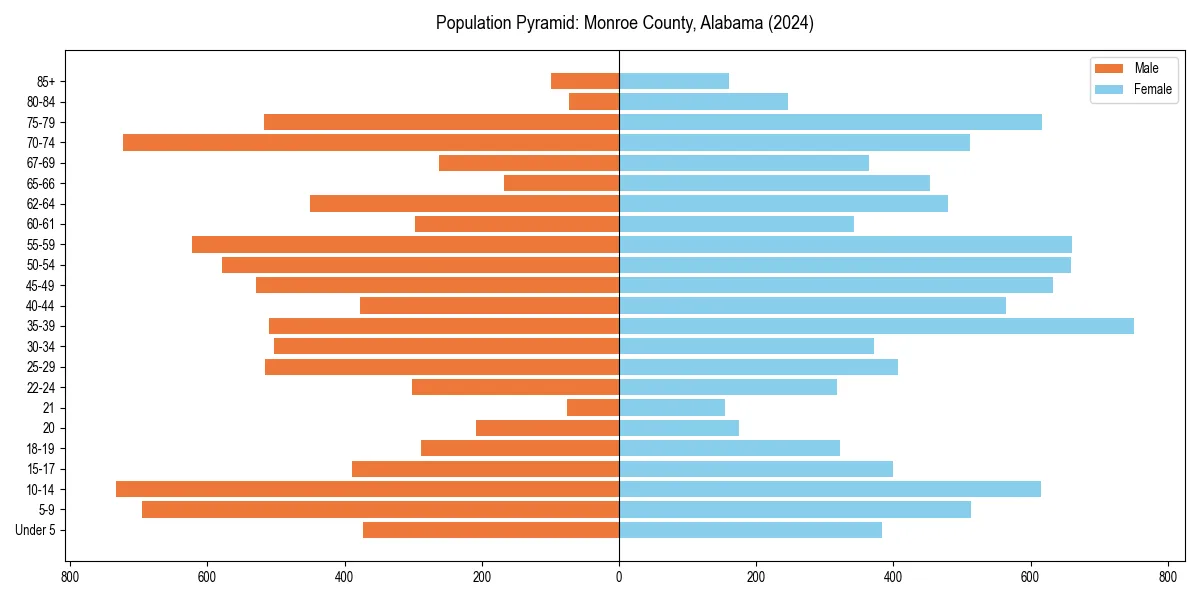 Population pyramid for 