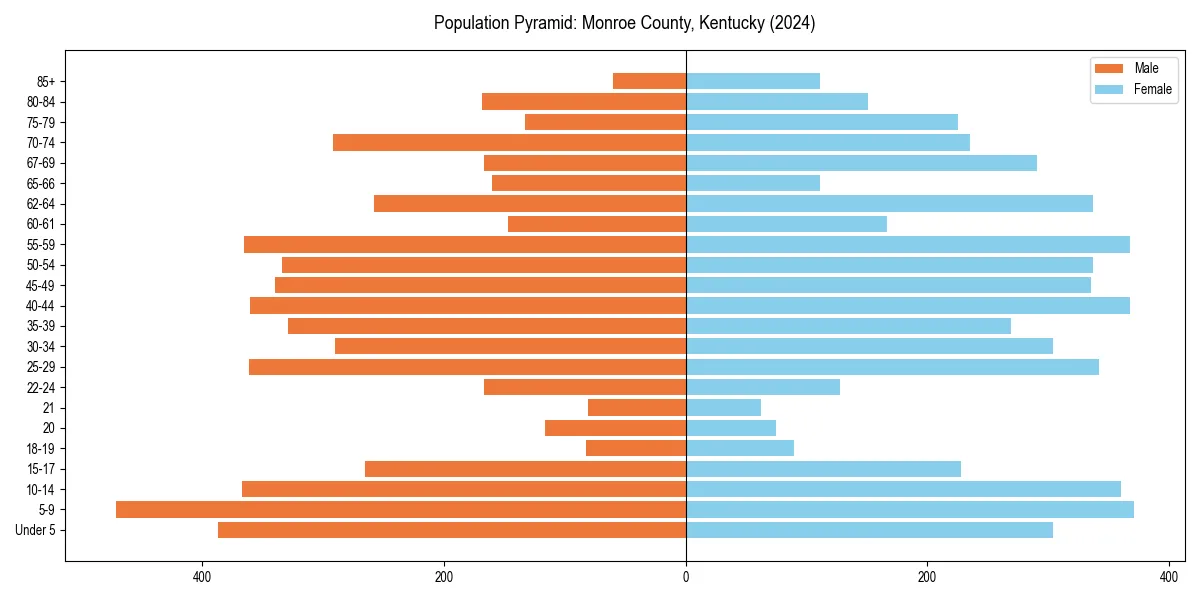 Population pyramid for 