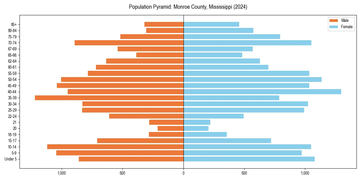 Population pyramid for 