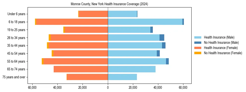 Health insurance pyramid for Monroe County, New York